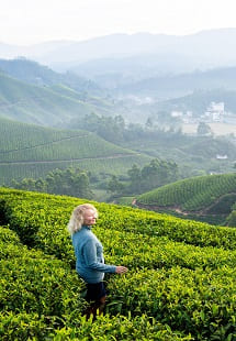 Indulge in Adventure